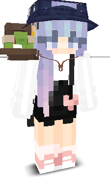 User's Minecraft appearance