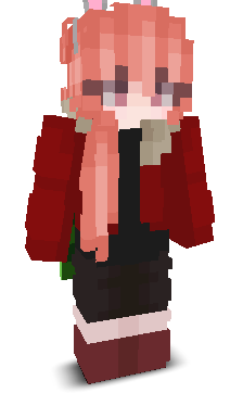 User's Minecraft appearance
