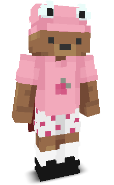 User's Minecraft appearance