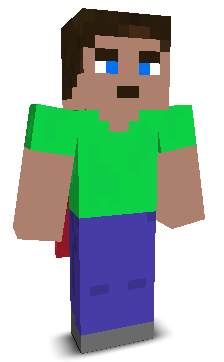 User's Minecraft appearance