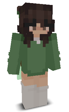 User's Minecraft appearance
