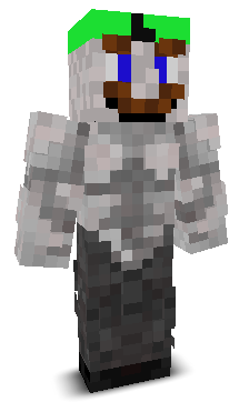 User's Minecraft appearance