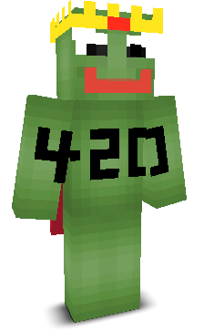 User's Minecraft appearance
