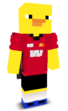 User's Minecraft appearance