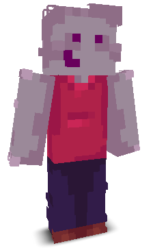 User's Minecraft appearance