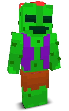 User's Minecraft appearance