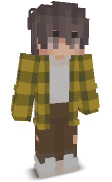 User's Minecraft appearance
