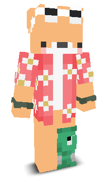 User's Minecraft appearance