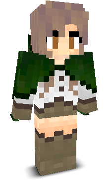 User's Minecraft appearance