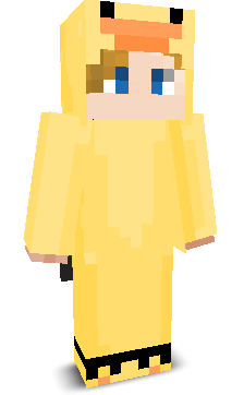 User's Minecraft appearance