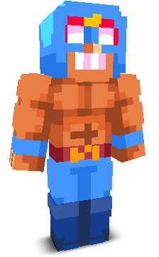 Skin gracza fol1arz