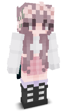 User's Minecraft appearance