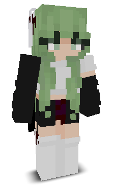 User's Minecraft appearance