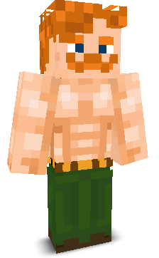 User's Minecraft appearance
