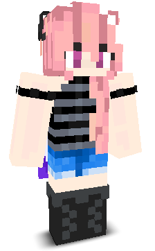 User's Minecraft appearance