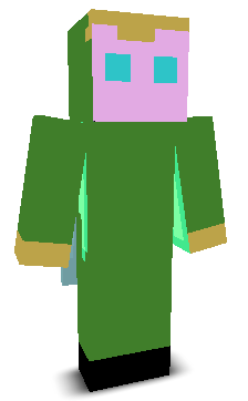 User's Minecraft appearance
