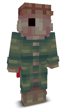 User's Minecraft appearance