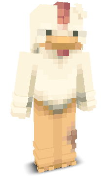 User's Minecraft appearance