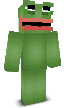 User's Minecraft appearance