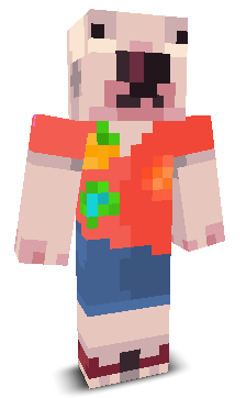 User's Minecraft appearance