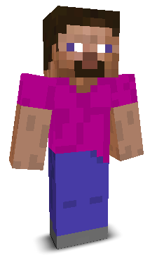 User's Minecraft appearance