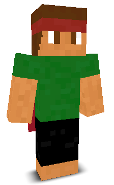 User's Minecraft appearance