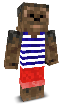 User's Minecraft appearance