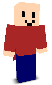 User's Minecraft appearance