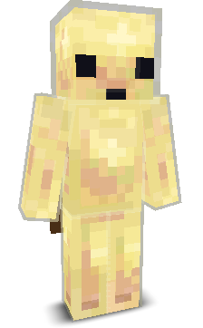 User's Minecraft appearance
