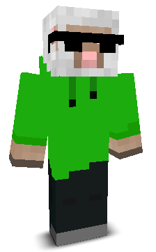 User's Minecraft appearance