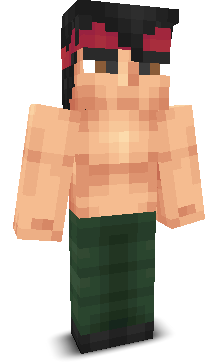 User's Minecraft appearance
