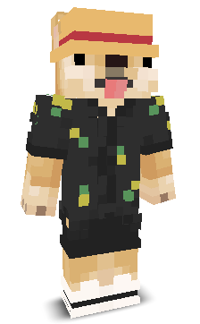 User's Minecraft appearance