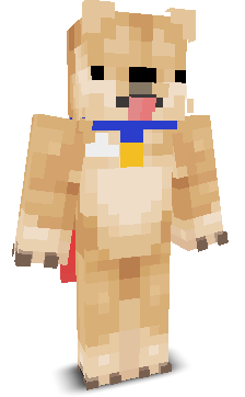 User's Minecraft appearance