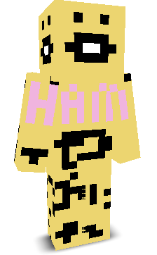 User's Minecraft appearance
