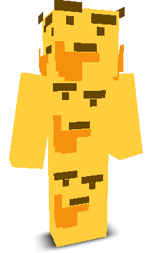 User's Minecraft appearance