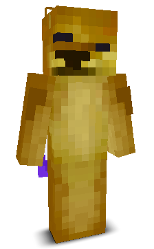 User's Minecraft appearance
