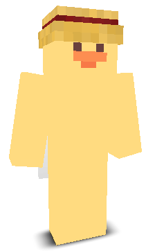 User's Minecraft appearance