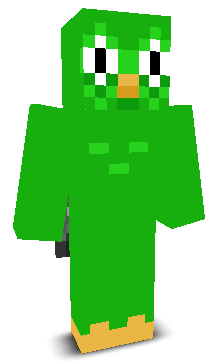 User's Minecraft appearance