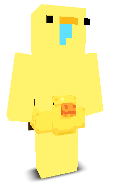 User's Minecraft appearance