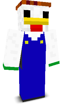 User's Minecraft appearance