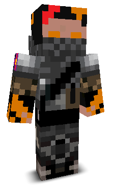 Skin gracza kozfez