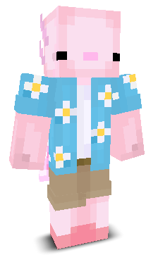 User's Minecraft appearance