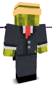 User's Minecraft appearance