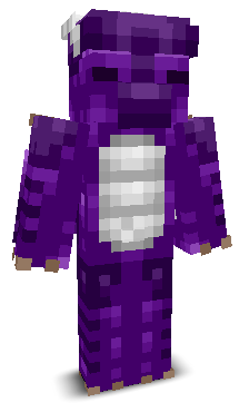 User's Minecraft appearance
