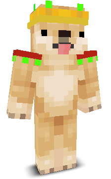User's Minecraft appearance