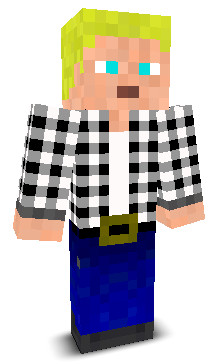 User's Minecraft appearance