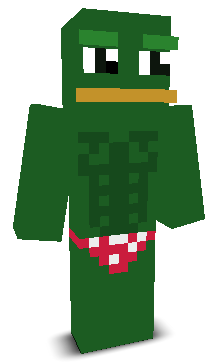 User's Minecraft appearance