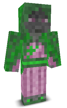 User's Minecraft appearance