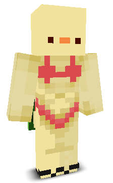 User's Minecraft appearance