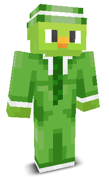 User's Minecraft appearance